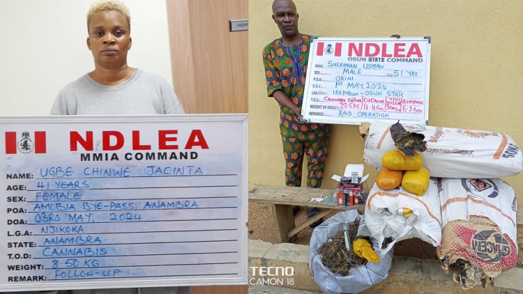 NDLEA smashes intl. drug syndicate, seizes Loud consignments, arrests 5 members