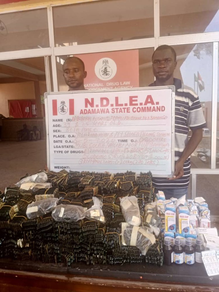 NDLEA intercepts 3 trailer loads of opioids, seizes 3.5million pills, 344,000 codeine bottles