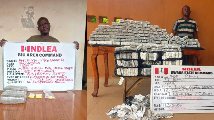 NDLEA declares couple wanted, arrests 4 cartel members over cocaine seizures