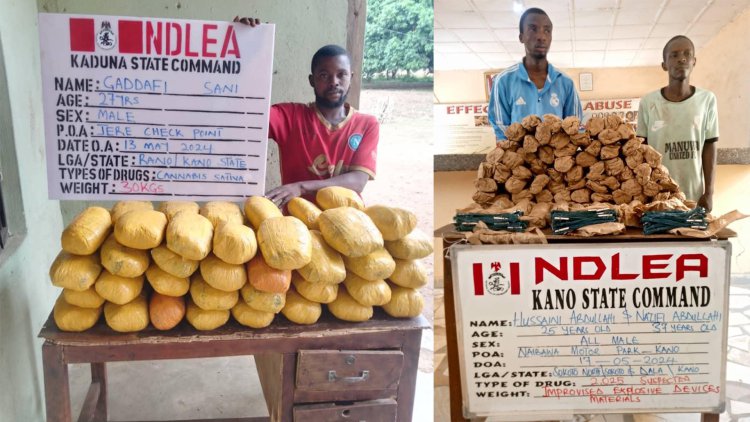 NDLEA declares couple wanted, arrests 4 cartel members over cocaine seizures