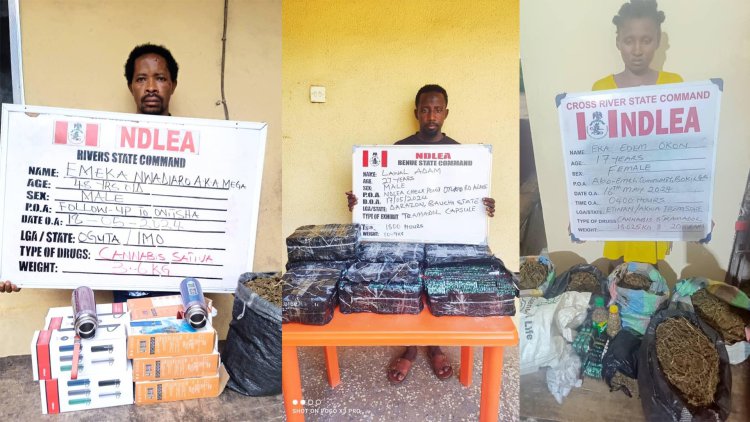 NDLEA declares couple wanted, arrests 4 cartel members over cocaine seizures