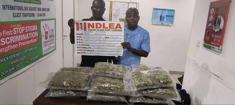 NDLEA smashes 2 drug cartels, recovers multi-billion-naira cocaine, fentanyl consignments