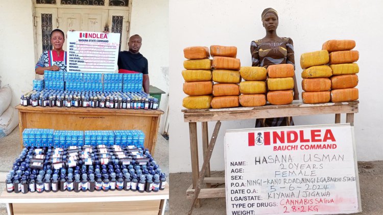 NDLEA intercepts codeine shipment from India, US,UK-bound opioids in ladies’ hair