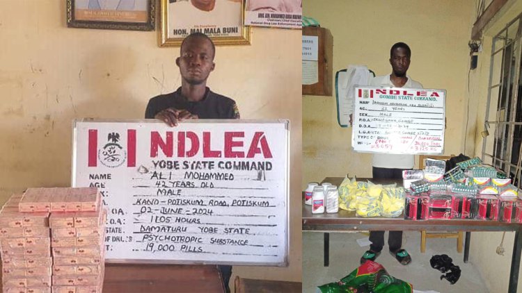 NDLEA intercepts codeine shipment from India, US,UK-bound opioids in ladies’ hair