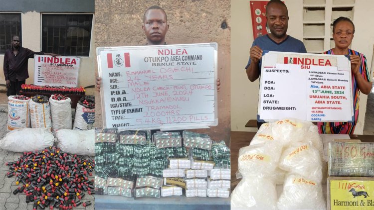 N4.7billion cocaine, meth seized as NDLEA bursts Lagos warehouse, arrests siblings in Aba