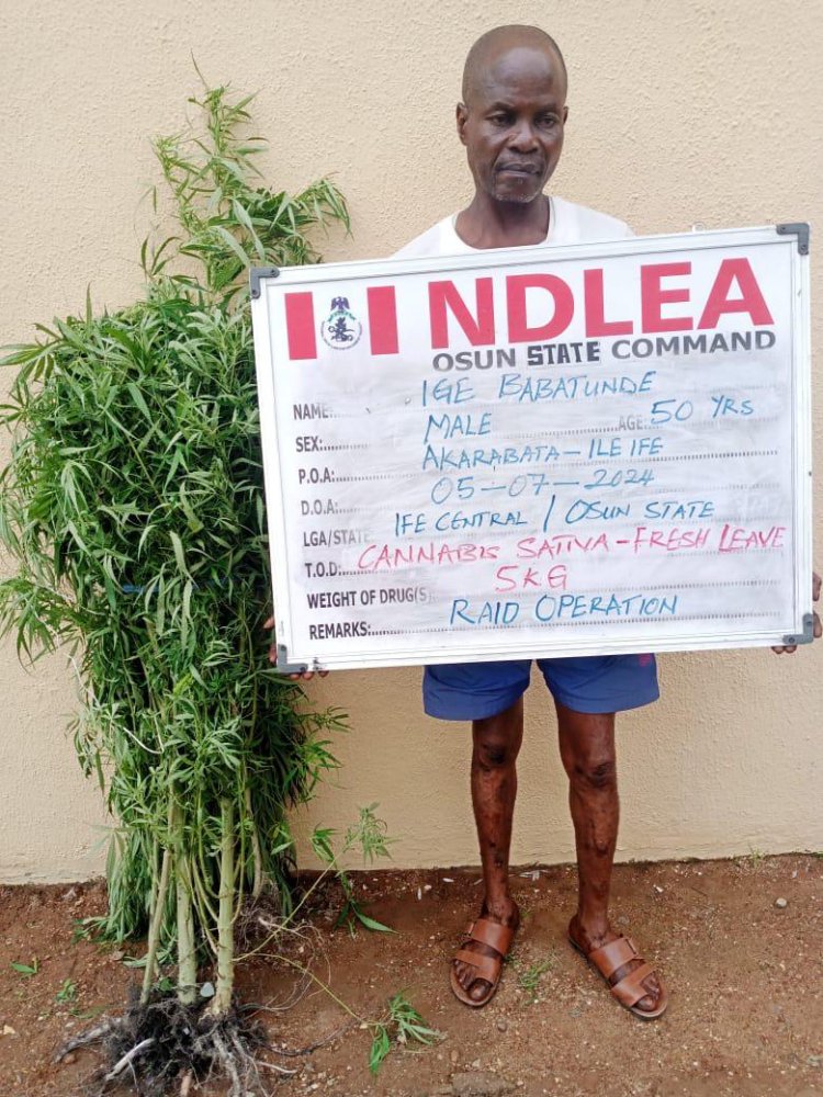 NDLEA smashes cocaine syndicate, arrests couple, recovers N2.1b drug in Lagos raid