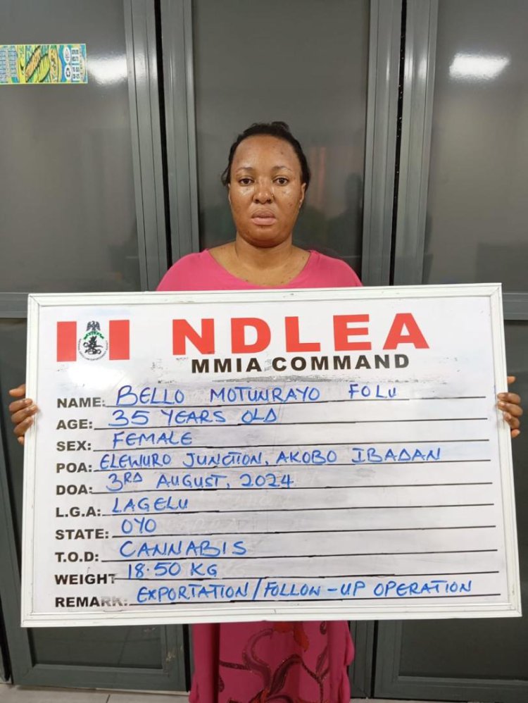 NDLEA intercepts multiple drug consignments in baby food tins, cloths going to US, UK