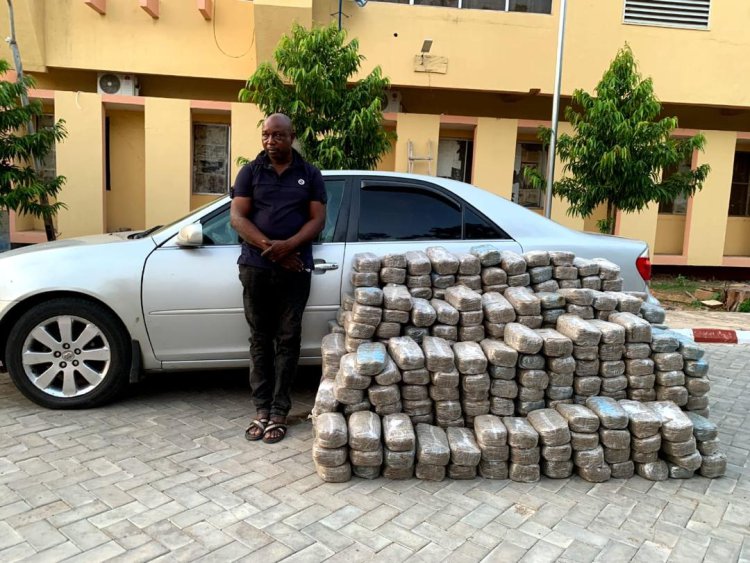 NDLEA smashes cocaine syndicates, recovers multi-billion-naira drugs in nationwide raids