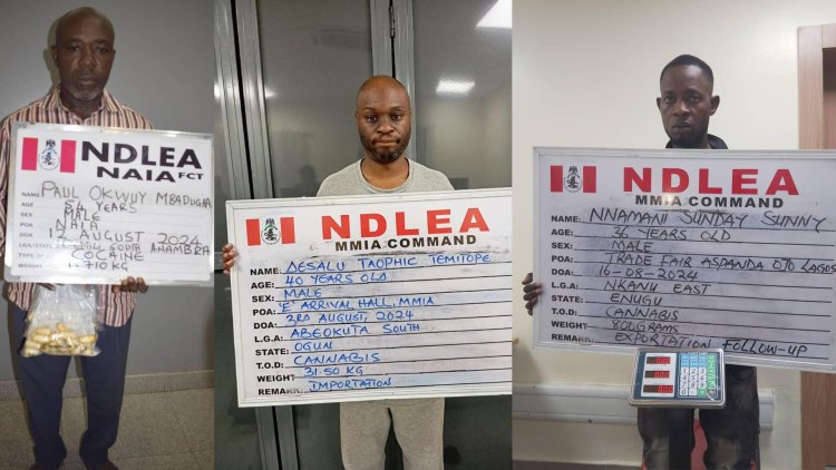 Businessman excretes 88 wraps of cocaine as NDLEA intercepts drugs in noodles at MMIA