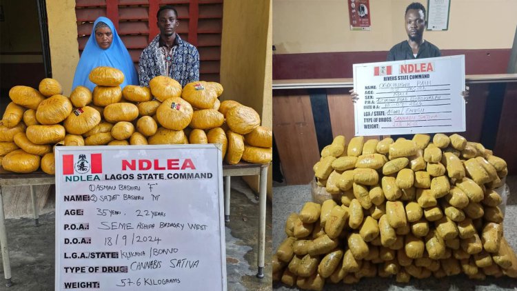 NDLEA intercepts N16.1bn opioids, arrests octogenarian, community leader’s wives, son