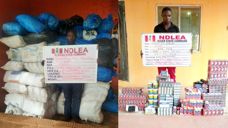 NDLEA intercepts N16.1bn opioids, arrests octogenarian, community leader’s wives, son