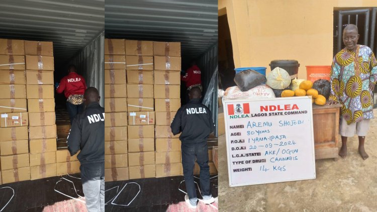 NDLEA intercepts N16.1bn opioids, arrests octogenarian, community leader’s wives, son