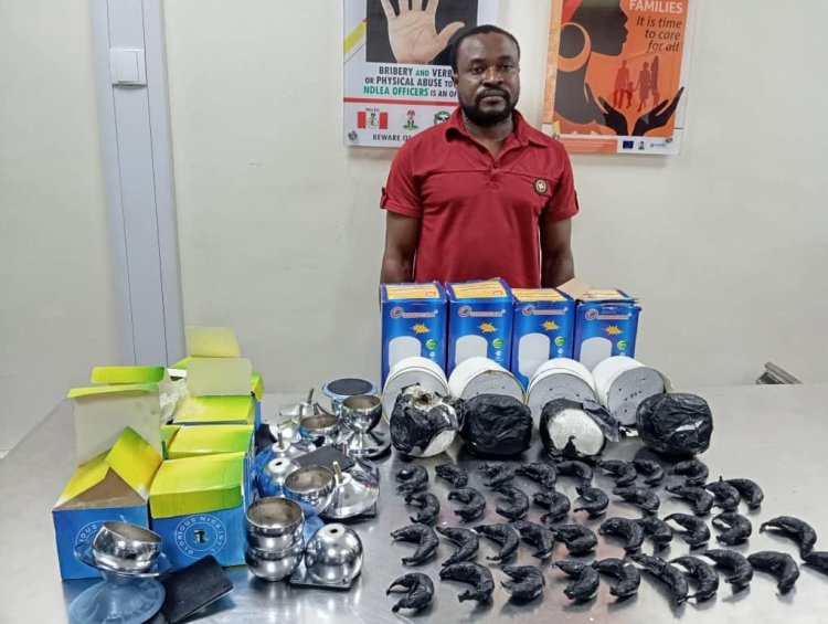 Auto parts dealer arrested over heroin, loud shipments concealed in lamps, sofa legs