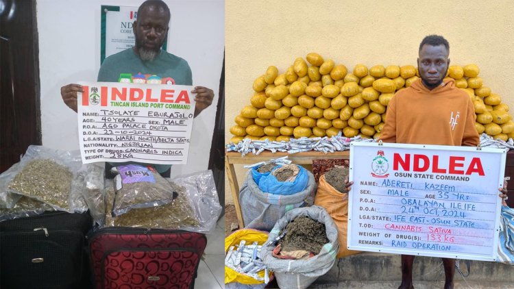 NDLEA intercepts US, Europe-bound drugs in shoe soles, N16.6b opioids at seaports