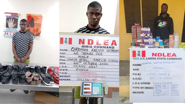 NDLEA intercepts US, Europe-bound drugs in shoe soles, N16.6b opioids at seaports