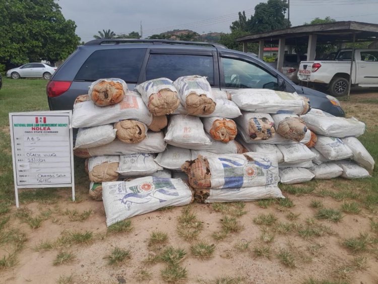 N4.4billion worth cocaine seized at Lagos airport as NDLEA grills 30 suspects