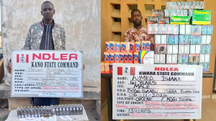 NDLEA smashes cross-border drug syndicates, arrests 6 kingpins, recovers cocaine, opioids