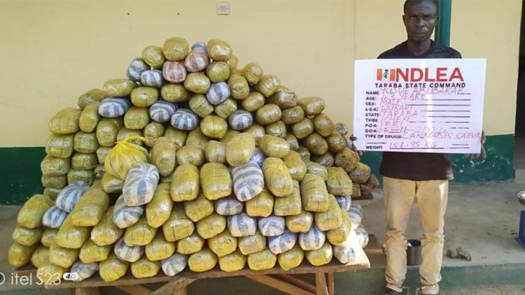 NDLEA smashes cross-border drug syndicates, arrests 6 kingpins, recovers cocaine, opioids