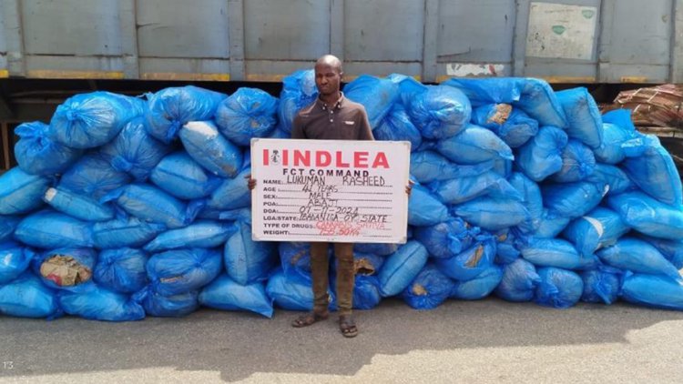 NDLEA smashes cross-border drug syndicates, arrests 6 kingpins, recovers cocaine, opioids