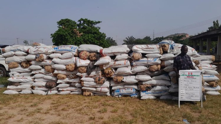 NDLEA smashes cross-border drug syndicates, arrests 6 kingpins, recovers cocaine, opioids