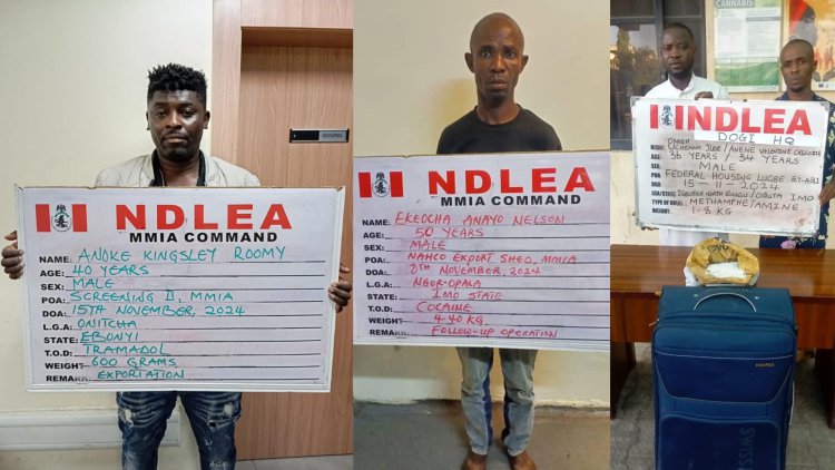 UK, Italy, Turkey, Qatar-bound cocaine, meth consignments intercepted in Lagos, Abuja