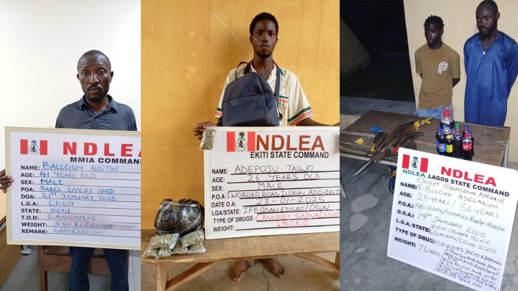 NDLEA intercepts UK-bound illicit drug consignment in duvet at Lagos airport, arrests 2